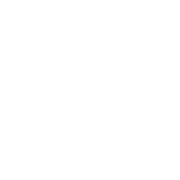 BirthFund Logo